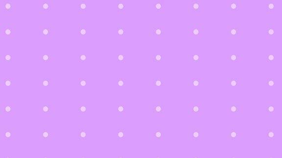 无缝循环抽象点动画4k决议淡紫色和白色圆点或圆圈滑动过渡运动设计
