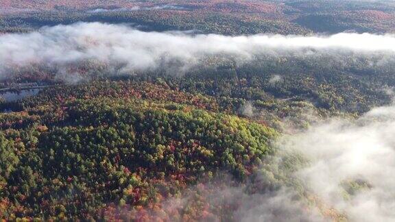 美丽的日出与雾滚动的山在秋天Québec加拿大