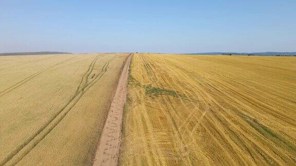 航拍的黄色耕作农田与干秸秆的小麦收割后