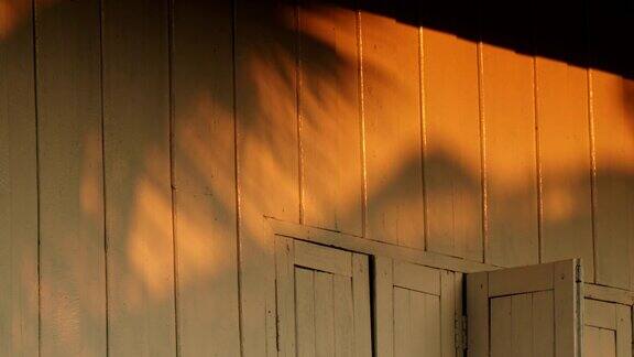 椰子的影子躺在木屋的墙上