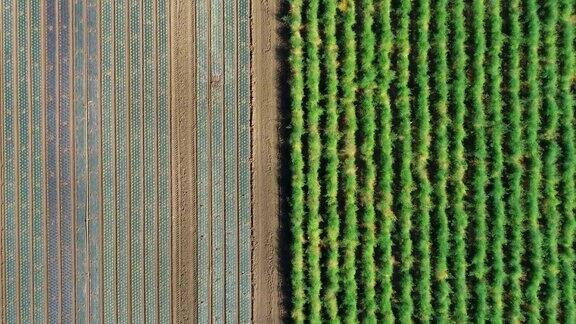 农业领域-鸟瞰图