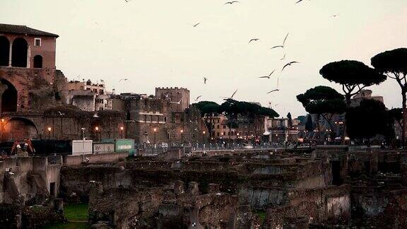 意大利罗马古城壮观的夜景