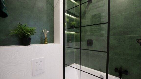 现代豪华浴室-绿色白色和黑色