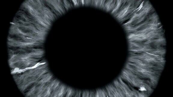 灰色的眼睛是虹膜和瞳孔的一个极端特写变宽变细