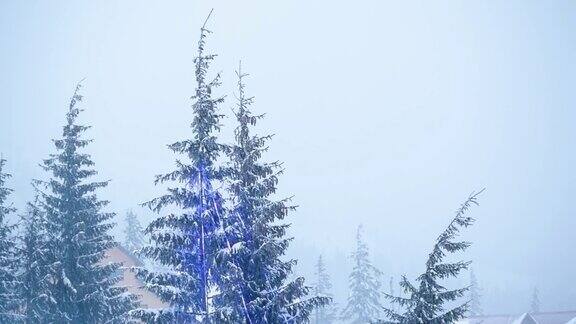 美丽的冬季景观和白雪覆盖的树木冬天的山