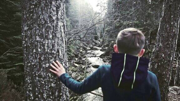 男孩在欣赏山谷长满苔藓和苔藓的岩石