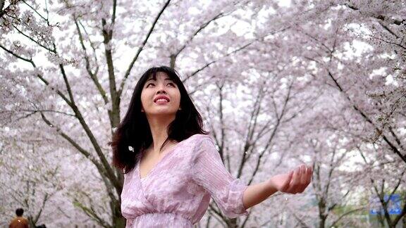 美丽的中国年轻女子站在樱花林中看着随风飘落的花瓣超慢的动作
