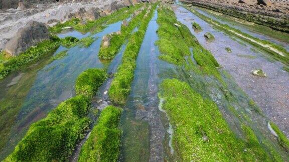 溪水流过长满苔藓的岩石