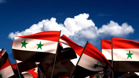 挥舞着叙利亚国旗