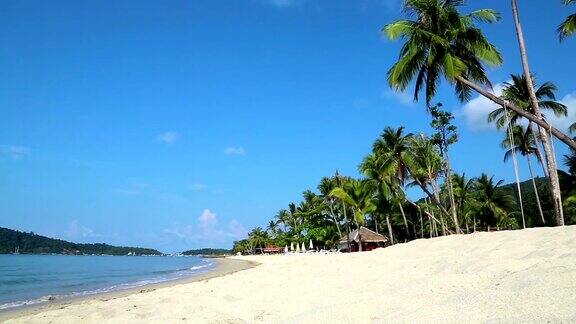 美丽的海景棕榈树和海滩