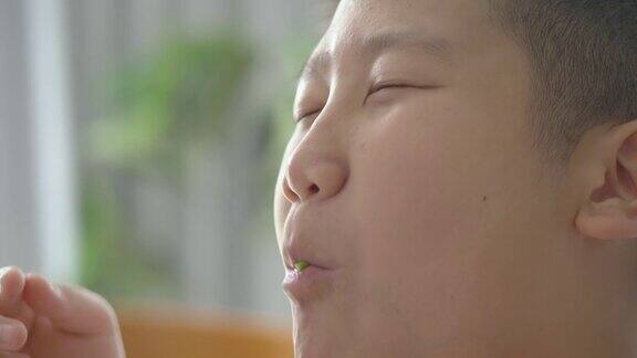 快乐的亚洲男孩在家吃奶油沙司水培沙拉卷健康的生活理念