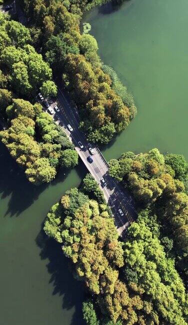鸟瞰图的道路通过湖泊和树木地区
