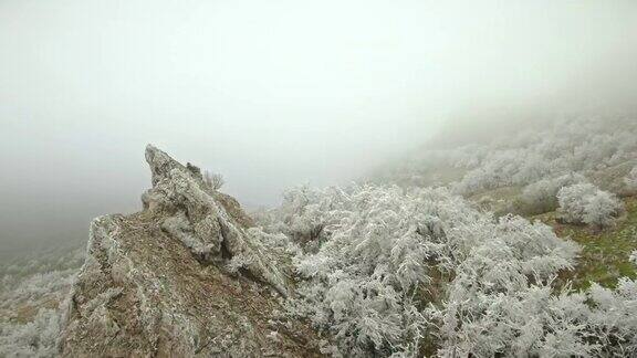 鸟瞰图在白霜中驾驶无人机飞越岩石和周围的植被冬天Koktebel克里米亚
