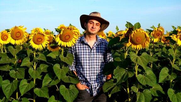 向日葵地里英俊的农夫一个戴着帽子的年轻农民正站在向日葵地里
