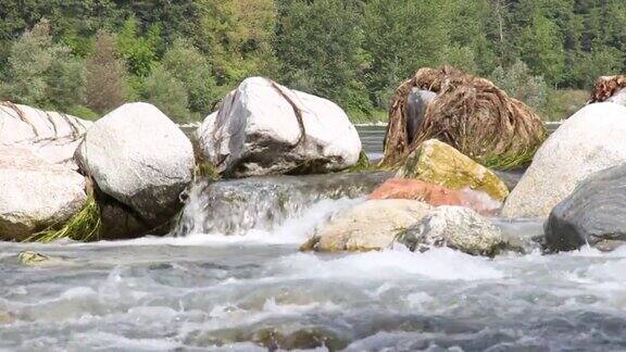 水在石头之间石头在意大利北部的提契诺河