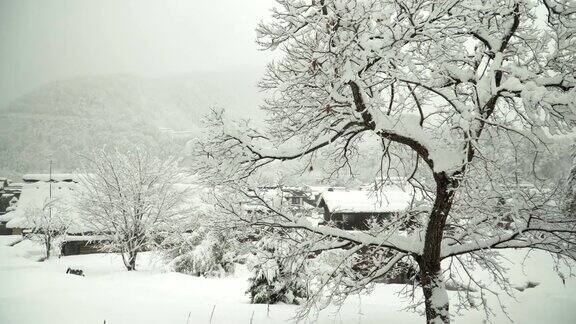 高角度拍摄:雪景覆盖白川村