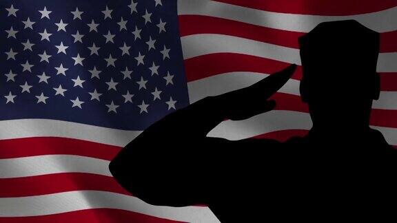 军人向国旗敬礼美国退伍军人节剪影庆典
