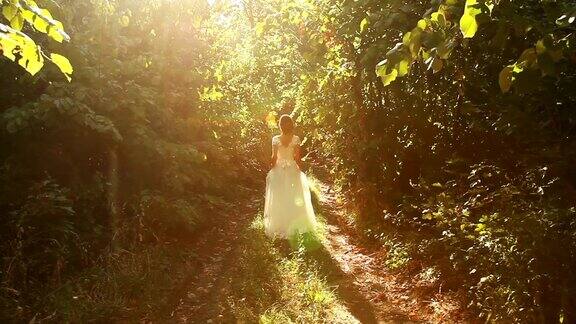 复古婚纱女森林自然美丽艺术背景