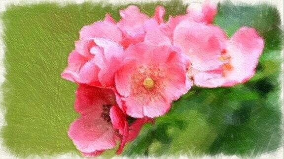 抽象背景粉红色玫瑰花束水彩画风格