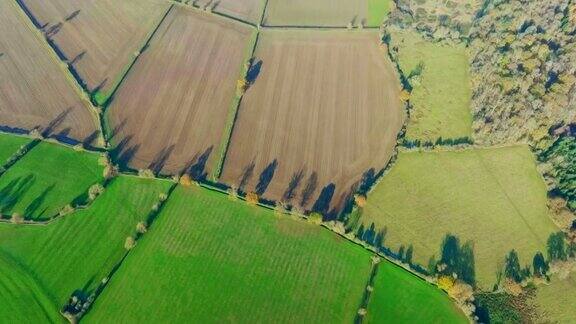 英国广阔的耕地