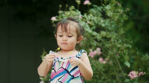 泰国可爱的小女孩抱着花在花园里闻着花香