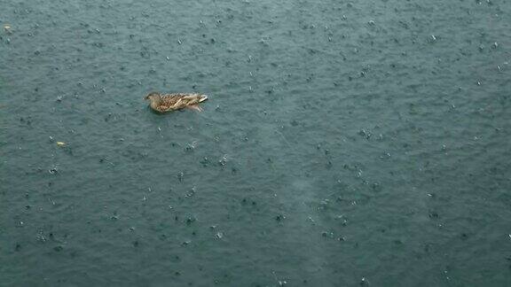 雷暴中落在水体表面的暴雨