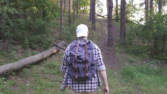 一个年轻人走在树林里背包徒步旅行者在松林中徒步旅行享受大自然缓慢的运动