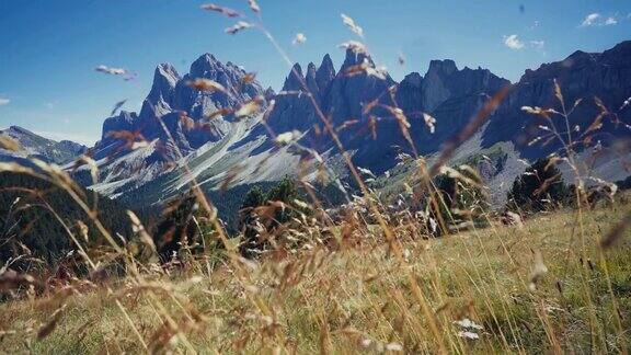 Dolomites上的户外标志性景观:Seceda著名地标