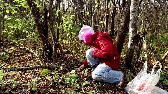 女孩在森林里采蘑菇