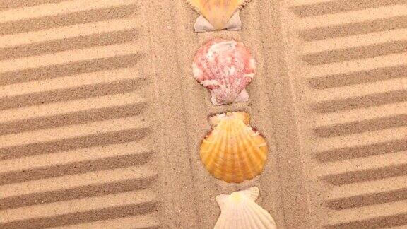 美丽的灯光效果旋转沙的线条和贝壳的形式