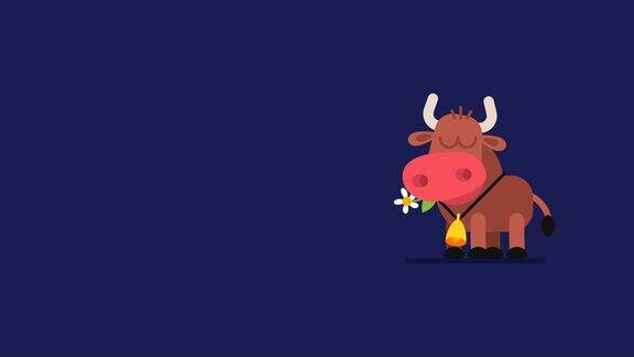牛和闪烁的星星有趣的动物字符中国星象