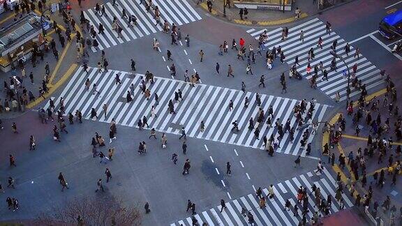 鸟瞰日本东京涩谷区十字路口的交通