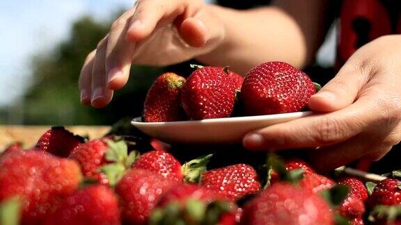 选择草莓