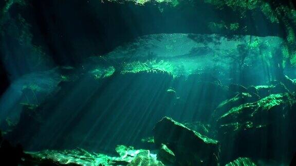 阳光下的洞穴在水下尤卡坦墨西哥天然井的岩石