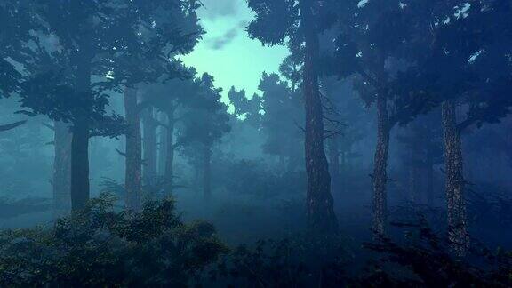 黑暗的森林三维动画