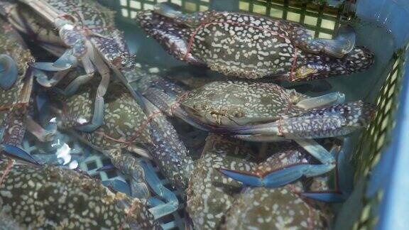 海鲜市场里新鲜新鲜的蓝蟹