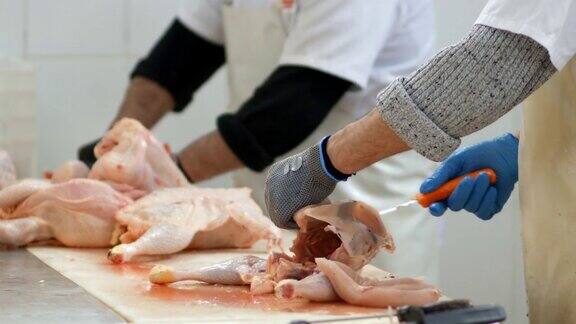 食品加工厂鸡肉加工厂男子手切肉的特写