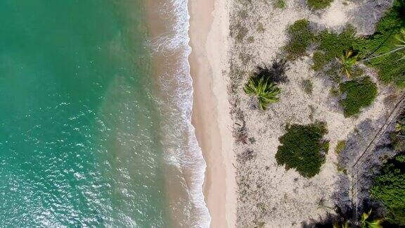 空中俯瞰热带白色沙滩和绿松石清澈的海水与小波浪和棕榈树的背景