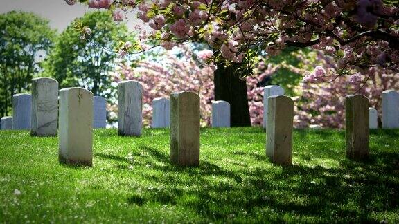 春天的阿灵顿国家公墓