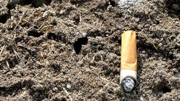 近距离看香烟却扔在了地上