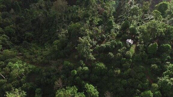 无人机在日落时在中国云南森林飞行的鸟瞰图