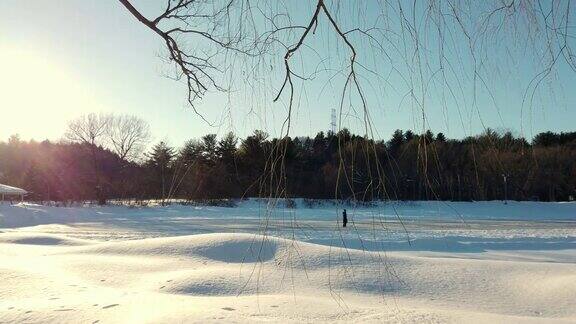 日落时公园里结冰的池塘的录像