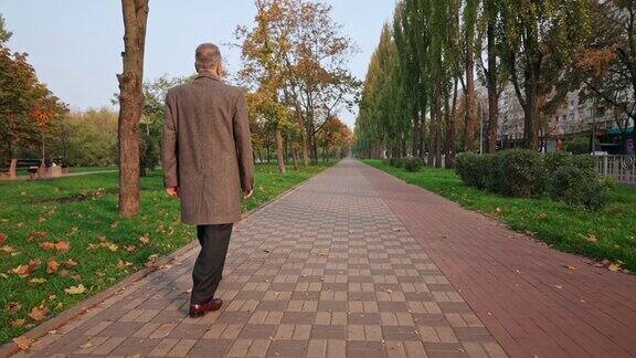 后视图老年男性漫步在公园