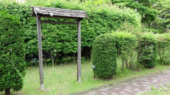 日本东京的Kiba公园绿色花园