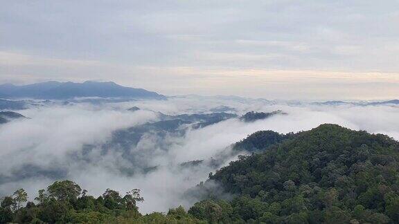 清晨的热带雨林雾和薄雾笼罩着高山