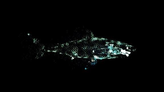 发光的鲨鱼在完全黑暗的海洋中游泳的插图
