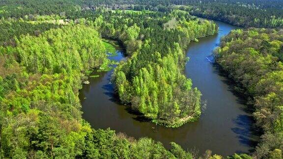 夏天的河流和绿色的森林波兰鸟瞰图