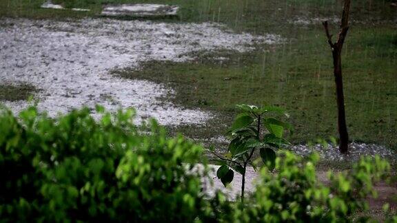 雨滴落在水里!