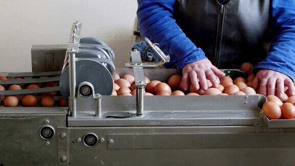 鸡场按重量分级和包装的鸡蛋生产线