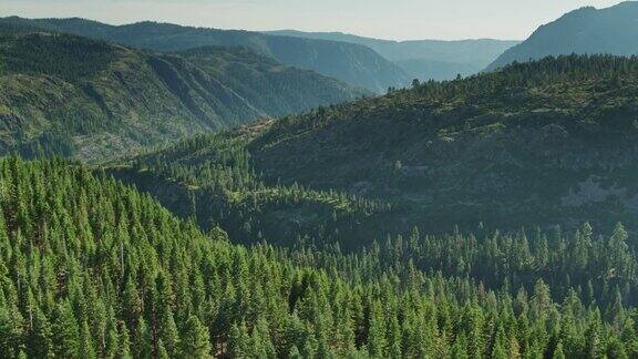美丽的高山景观在夏季在加州内华达山脉-无人机拍摄
